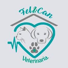 Fel&Can. Veterinaria Andes