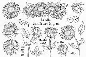 Free Free Sunflower Vector Svg SVG PNG EPS DXF File
