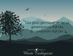 Goz Gozu Gormuyor Derler Ya Goremiyorum Ask Tan Duyamiyorum Ask Tan Marti Terbiyecisi Oguzhan Deniz Bedbinderune Inanc Bulutlar Guzel Soz