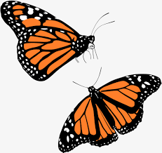 4.3 out of 5 stars 10. Butterfly Png Transparent Background Monarch Butterfly Clipart Png Download 5114259 Png Images On Pngarea