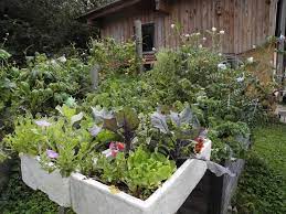 Im permakulturgarten einen komposthaufen anlegen. Permakultur Garten Anlegen Tipps Aus Hannes Permagarten