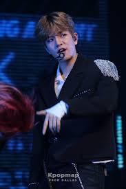 152 x 201 x 28,5 mmphotobook : Exclusive Photos Stray Kids World Tour District 9 Unlock In Dallas Kpopmap