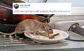Centers for disease control and prevention (cdc). People Panicking Over China S Hantavirus Death Here S How It Is Different From Coronavirus