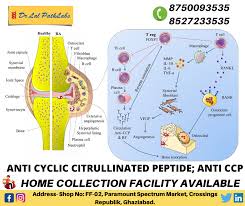 Pin On Dr Lal Path Labs