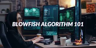 Take a picture of a clownfish 3 times. Blowfish Encryption Algorithm Everything You Need To Know Tech4en