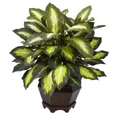 Nearly Natural Triple Golden Dieffenbachia With Wood Vase 6720 Artificial Plants Silk Plants Plants