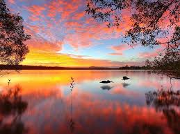 Lake Doonella Noosa Heads Queensland Australia Sunset Painting Lake Sunset Painting Wall Art Pictures