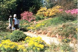 Liebe besucher des botanischen gartens, das freiland des botanischen gartens ist wieder geöffnet. Rostock Botanischer Garten