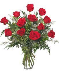 We did not find results for: Classic Dozen Roses Red Rose Arrangement In Lincoln Ne Burton Tyrrell S Oak Creek Plants Flowers