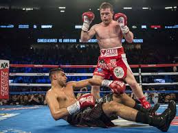Santos saúl canelo álvarez barragán is a mexican professional boxer. Canelo Alvarez Wallpaper Wallpaper Sun