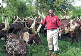 He conceded to the fact that, after 25 years of democracy, the anc government should have done better. Cyril Ramaphosa Seven Facts South Africans Need To Know Incontext International Gatewaynews Co Za