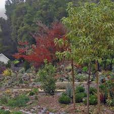 However, the fear tends to be much greater than the actual incidence. Pdf Community Gardens