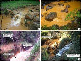 Thallium Pollution In Water Soils And Plants From A Past Mining Site Of Tuscany Sources Transfer Processes And Toxicity Sciencedirect