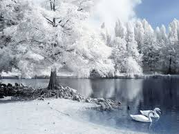 Download Free Winter Wallpapers The Most Beautiful Scenery In The World Download Free Wallpapers Free Winter Wallpaper Winter Wallpaper Winter Landscape