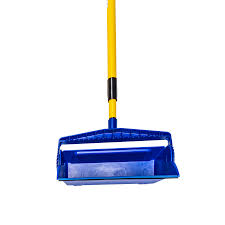 Image result for Broom Yellow 2007 Sprinter