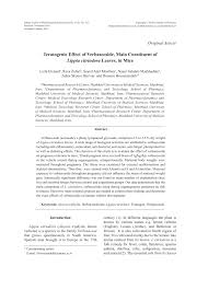 Scientifically known as aloysia citrodora, another common name besides lemon verbena is lemon beebrush. Images Of Lemon Verbena Alousia Trifolia Tropical Plant Catalog Toptropicals Com Aloysia Citrodora Is A Species Of Flowering Plant In The Verbena Family Verbenaceae Experimentalresearchforme