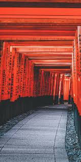 10 best things to do in kyoto japan japan travel tips japan travel guide japan travel