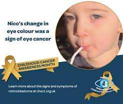 the eye difference.. pupils were a lot thinner when i first got her.. now  got bigger pupils as she gets older