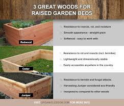 Best Wood And Lumber For Building Raised Garden Beds Building Raised Garden Beds Raised Garden Building A Raised Garden