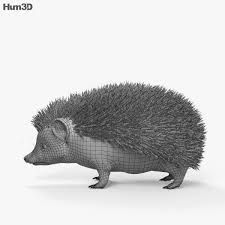3d Model Of Hedgehog Hd