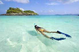 Cinnamon bay, at about 1 mile, is the national park's longest beach. Snorkeler At Cinnamon Bay Picture Of Cinnamon Bay Water Sports St John Tripadvisor