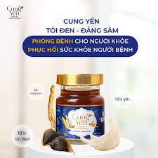 Cung Yến Yến Sào Tỏi Đen Đảng Sâm 25 yến - ketnoicungcau.vn