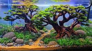 240 Bonsai Aquascape Beringin Kembar In 2021 Aquarium Driftwood Aquarium Aquascape