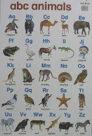 Learn about the missing letters. Animal Charts Yellowbear