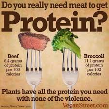 Does Broccoli Really Have More Protein Than Beef The Secret Revealed Vegan Facts Vegan Foods Going Vegan