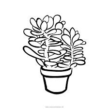 Check out our succulent coloring page selection for the very best in unique or custom, handmade pieces from our coloring books shops. Succulent Coloring Page Ultra Coloring Pages