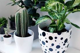 Odc decoration themes office decorating pics for ecommercial. 30 Decor Ideas To Make Your Cubicle Feel More Like Home