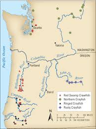 Watch a short video, explore a map, and read an expert's perspective about the relationships between foods and culture for native people of the pacific northwest. Usgs Fact Sheet 2011 3132 Invasive Crayfish In The Pacific Northwest