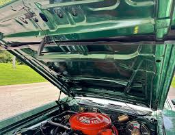 Image result for Deep Sherwood 1974 Challenger