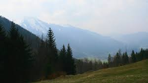 Die baumgartenschneid ist der höchste berg, oder besser gesagt der höchste grashügel zwischen dem tegernsee und dem schliersee. Wanderung Vom Tegernsee Uber Die Baumgartenschneid Zum Schliersee Auf Den Berg De