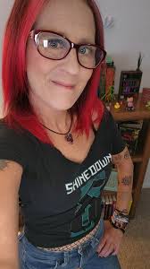 Concert Attendee Schedule in Michigan for Shinedown and A Day To Remember