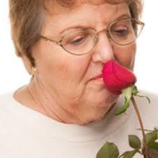 Okozhatja-e a légszennyezés szaglásunk elvesztését?