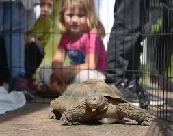 Kids get close look at nature at Richardson Bay Audubon