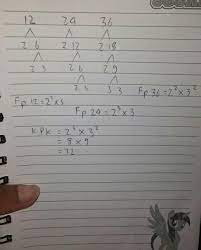 Faktorisasi prima dari bilangan 24, 36, dan 72 yakni: Kpk Dari 12 24 Dan 36 Adalaha 72c 108b 84 D 144 Brainly Co Id