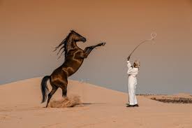 It is a mighty search engine. The Best Photography Of 2020