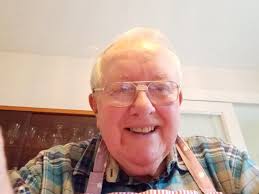 Why have my beautiful collared doves disappeared? 😔