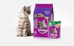 Makanan kucing persia yg bagus dan murah. Rekomendasi Makanan Kucing Yang Bagus Agar Tambah Sehat Dan Berbulu Lebat Blog Unik