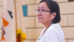 Groundbreaking ceremony held for Dahsání Campground in Nageezi