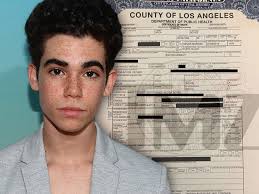 Disney Star Cameron Boyce's Death Certificate Reveals He was Cremated