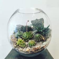 Desert World Terrarium Extra Large Cactus Terrarium Terrarium Cacti And Succulents