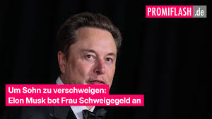 Um Sohn zu verschweigen: Elon Musk bot Frau Schweigegeld an