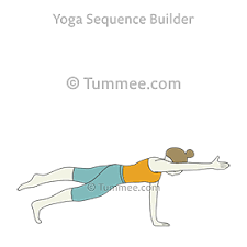 Plank Pose One Arm Leg Lift Phalakasana Eka Pada Eka Hasta Variations 84 Variations Of Plank Pose One Arm Leg Lift Tummee Com Easy Yoga Workouts Leg Lifts Plank Pose