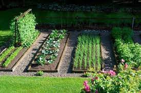 45 Best Backyard Vegetable Garden Designs Ideas Home Garden Garden Layout Vegetable Garden Design Backyard Vegetable Gardens