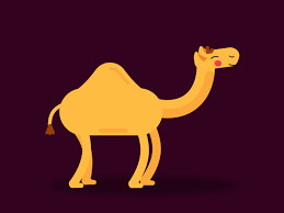 Some have one, some have 2, and some have none. Alice The Camel Has One Hump By Liz Sardari On Dribbble