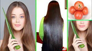 Check spelling or type a new query. Extremely Hair Growth Tomato Aloe Vera For Thick Long Shiny Hair Stop Hair Fall Youtube