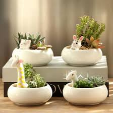 Indoor wall planters and hanging pots are both great ways to incorporate plant life into your home without having to take up any table or space. Buy Ceramic Indoor Flower Pots Online Shopping At Dhgate Com